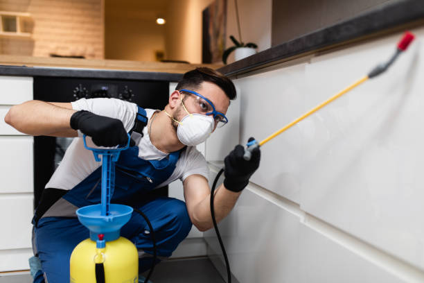 Best Exterminator Services  in Waterville, OH