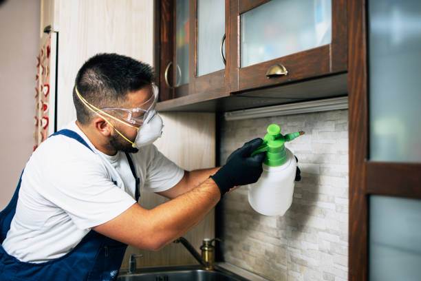 Best Flea Control Services  in Waterville, OH