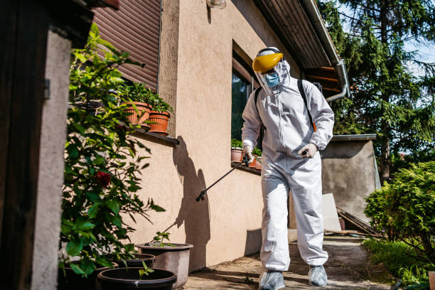 Insect Control in Waterville, OH