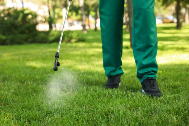 Best Cockroach Control Services  in Waterville, OH