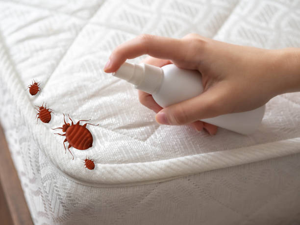Best Best Pest Control Companies  in Waterville, OH