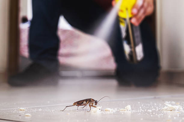 Best Best Pest Control Companies  in Waterville, OH