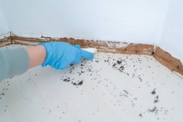 Reliable Waterville, OH Pest Control Solutions