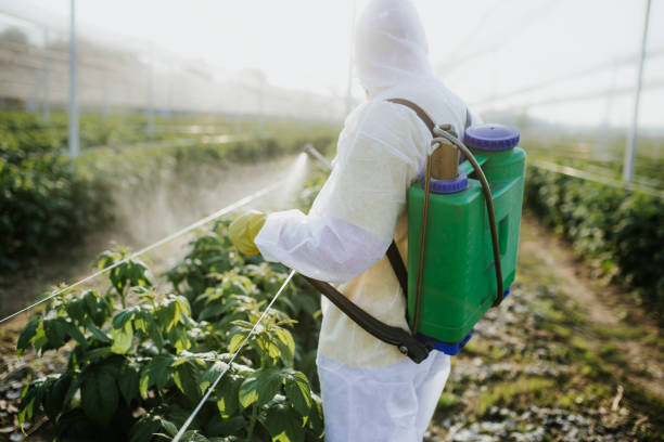 Best Mosquito Control Services  in Waterville, OH